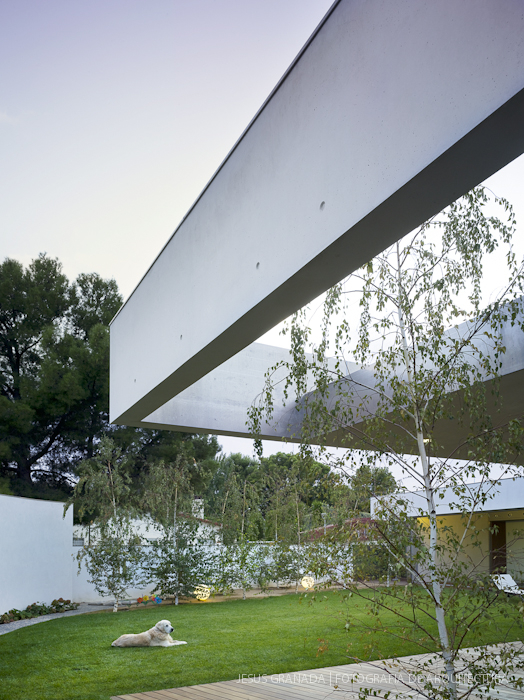 José Javier Gallardo Ortega