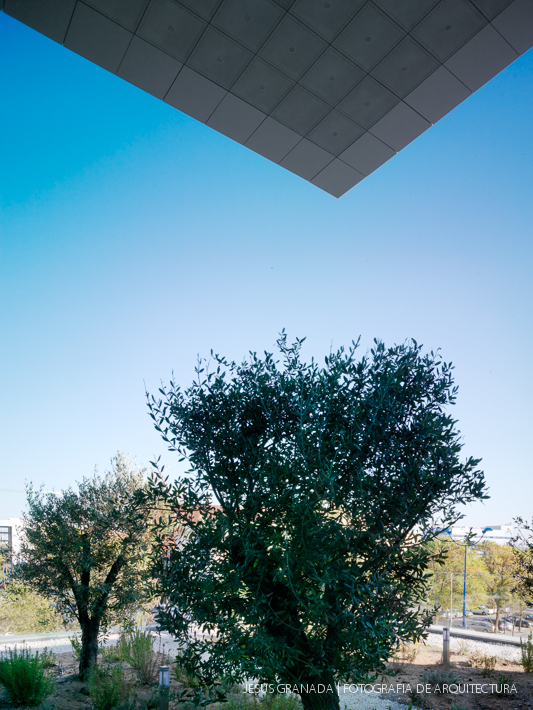 sede agencia andaluza energia ruiz larrea asociados arquitectos 40579