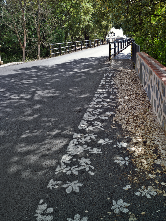 caminos_jabugo_lowcost_pipo_arquitectos