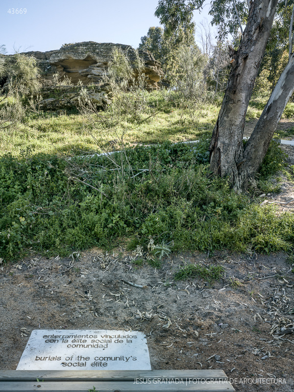 algarbes iaph bolonia cadiz 43669