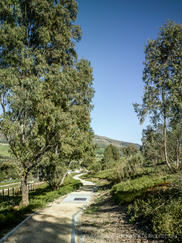 algarbes iaph bolonia cadiz 43673