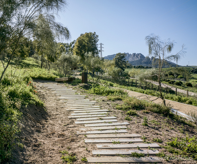 algarbes iaph bolonia cadiz 43677