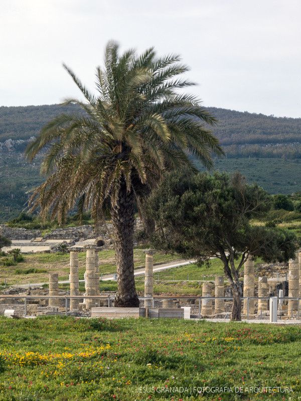 cal patro casa masia zest architecture gavarres jg436 36