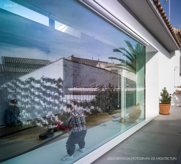 BUHARDILLA PEAL BECERRO JG456 25