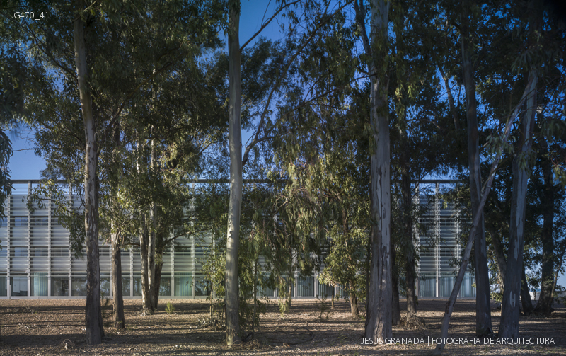 BADAJOZ THILO GUMBSCH JULIAN PRIETO JG470 41