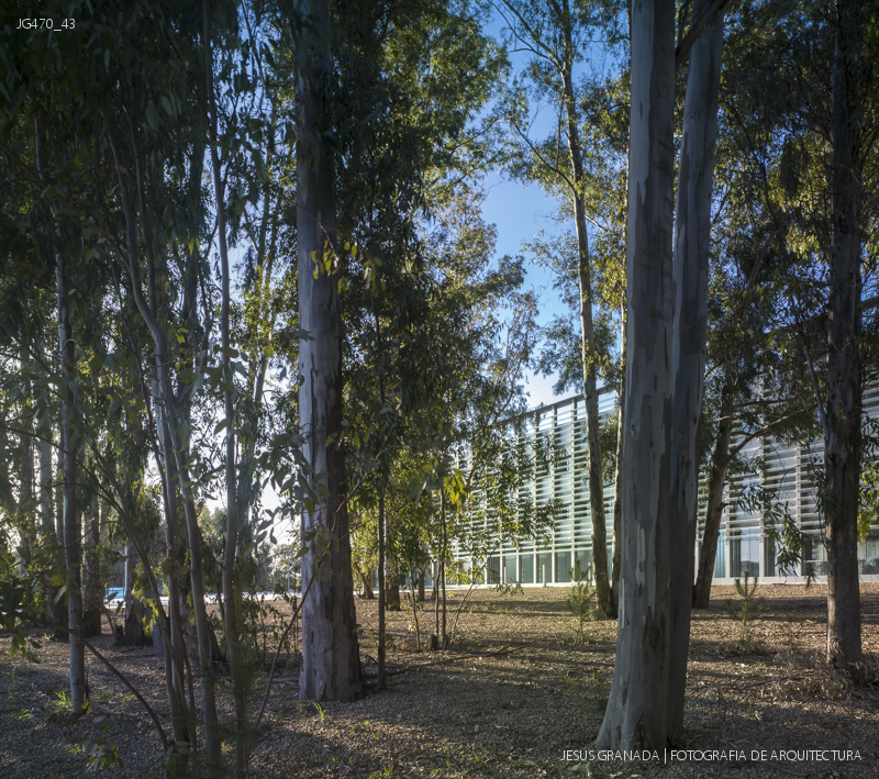 BADAJOZ THILO GUMBSCH JULIAN PRIETO JG470 43