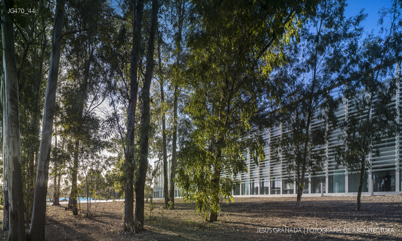 BADAJOZ THILO GUMBSCH JULIAN PRIETO JG470 44