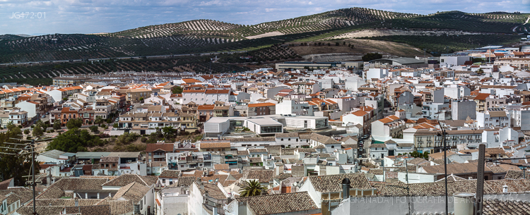 CENTRO DIA TERCERA EDAD BAENA BAUM PACO GOMEZ ARQUITECTOS JG472 01