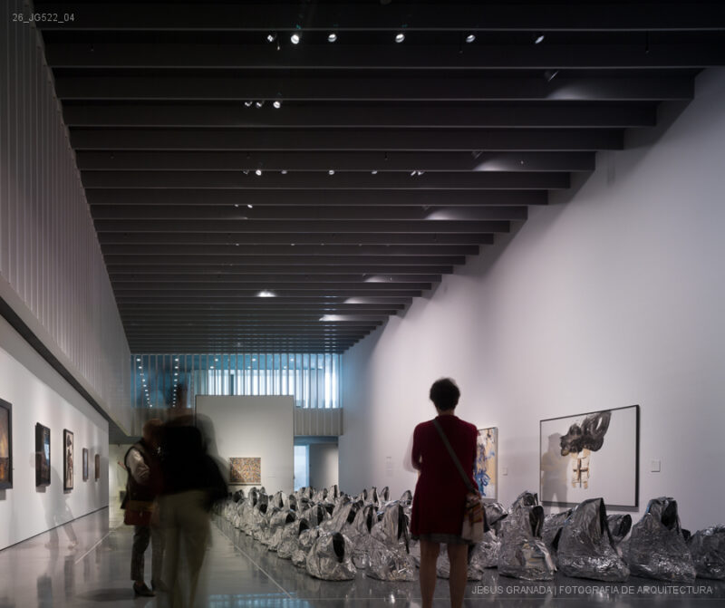 MALAVE DELAFUENTE POMPIDOU MALAGA MUSEO 26 JG522 04