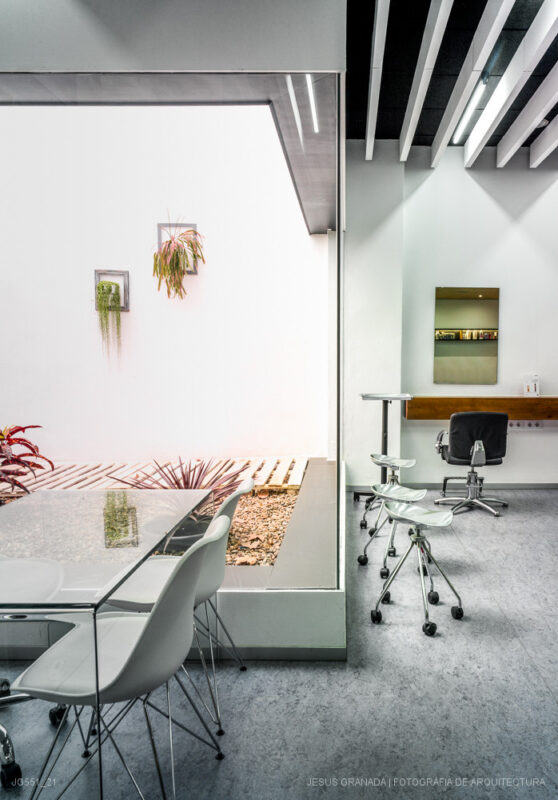 Peluquería Frances Manuel