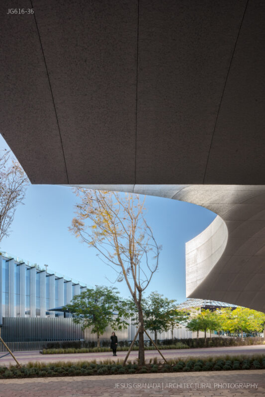 Caixaforum Sevilla. Marquesina de acceso.