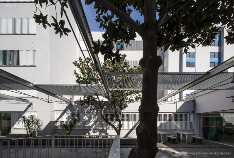 Reforma de la Universidad Politécnica de Algeciras