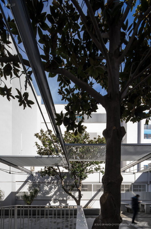 Reforma de la Universidad Politécnica de Algeciras