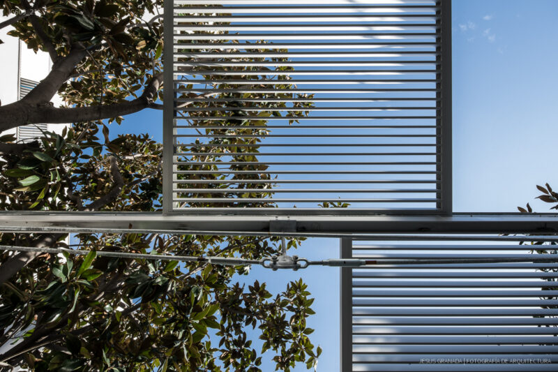 Reforma de la Universidad Politécnica de Algeciras