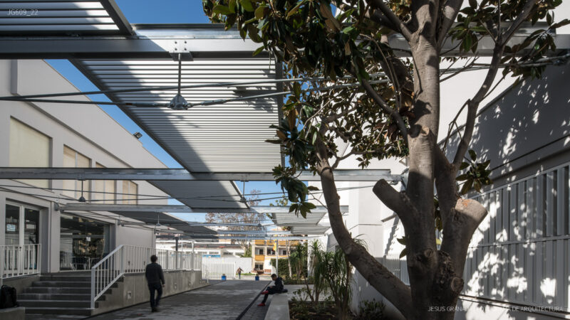 Reforma de la Universidad Politécnica de Algeciras