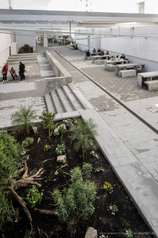 Reforma de la Universidad Politécnica de Algeciras