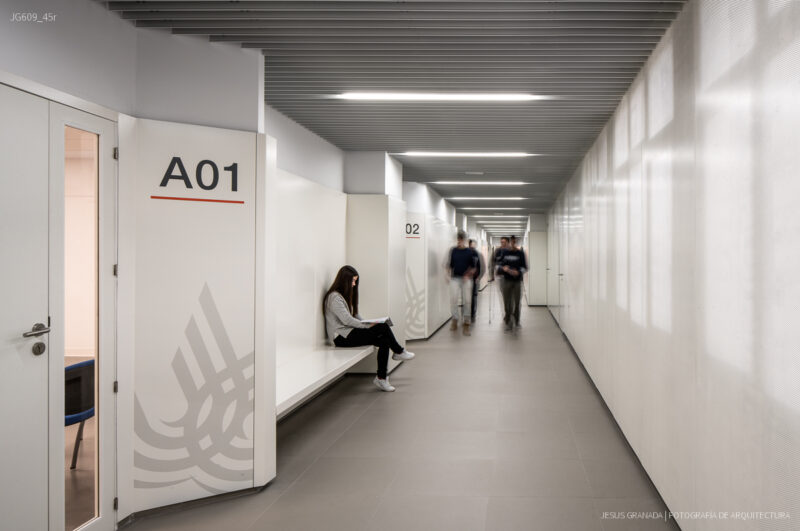 Reforma de la Universidad Politécnica de Algeciras