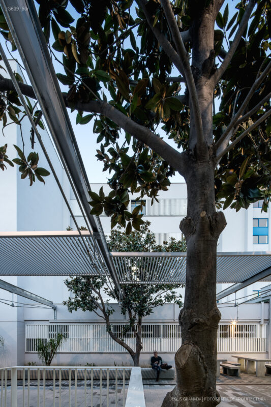 Reforma de la Universidad Politécnica de Algeciras