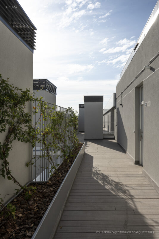 56 viviendas en Avenida Ramón y Cajal, Sevilla