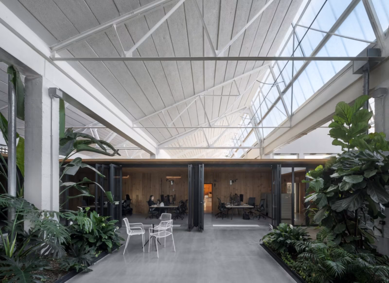 Espacio interior ajardinado bajo la estructura preexistente. Oficinas Galenicum en Esplugues, España. Harquitectes. Fotografía de Jesús Granada.